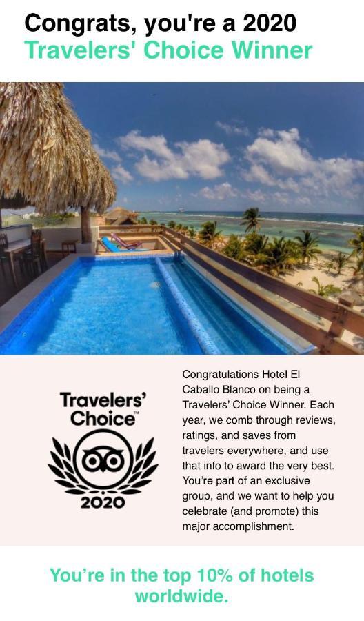 Hotel El Caballo Blanco Mahahual Dış mekan fotoğraf