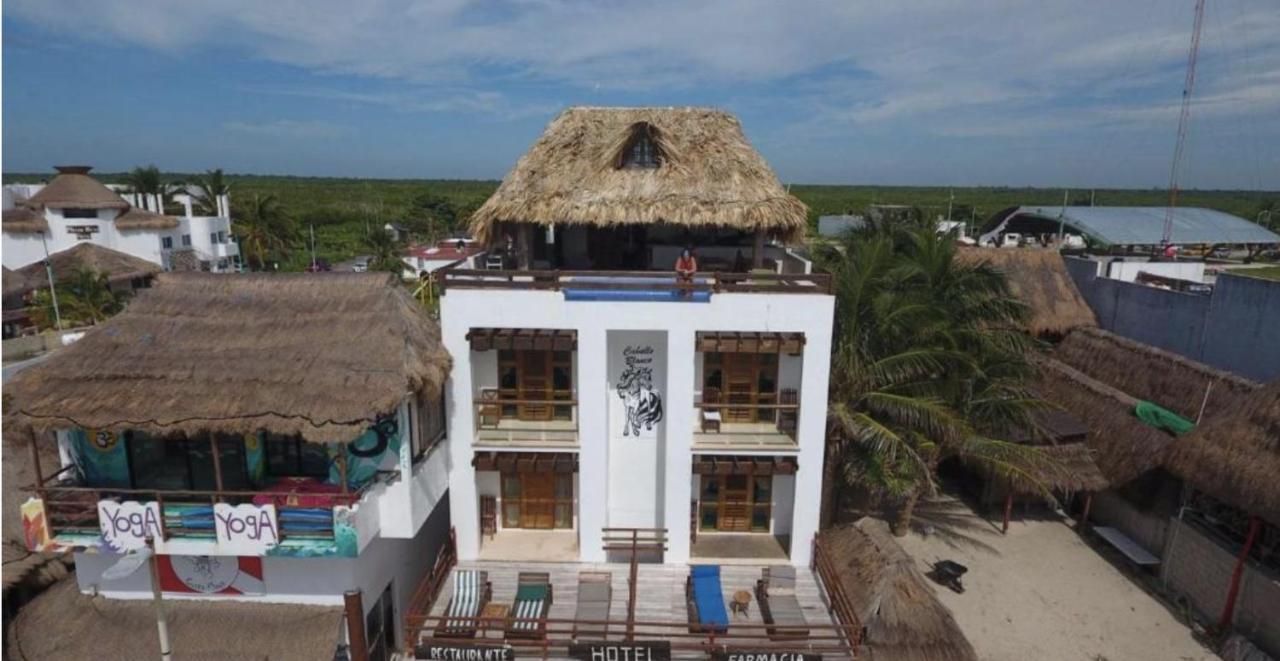 Hotel El Caballo Blanco Mahahual Dış mekan fotoğraf