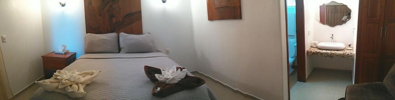 Hotel El Caballo Blanco Mahahual Dış mekan fotoğraf